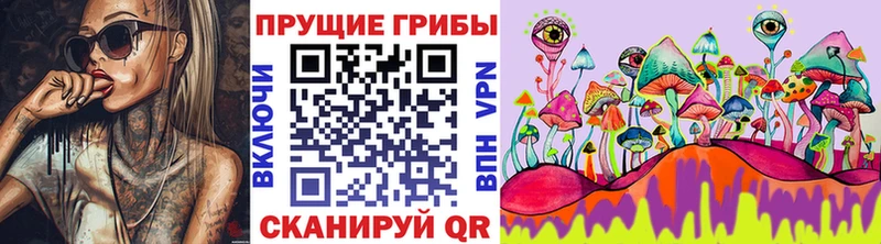 цены наркотик  Клин  мориарти официальный сайт  Галлюциногенные грибы Psilocybe 