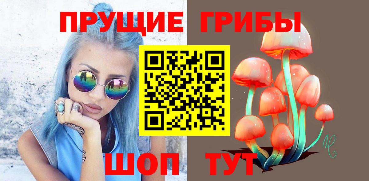 Клин  закладка  Вход с VPN  Галлюциногенные грибы Psilocybine cubensis 